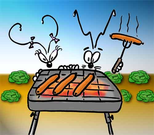 Barbecue de la locale