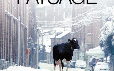 Ciné débat sur la crise du lait