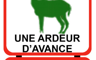 8 mars : Journée de la femme