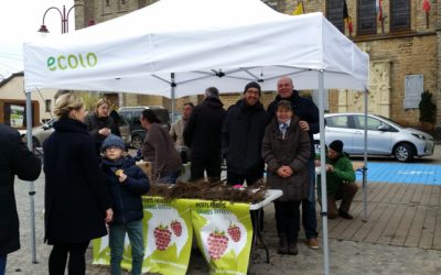 « Petits fruits… Grands effets » à Etalle